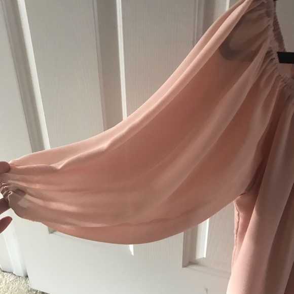 Naked Zebra - Picture 2 of 2